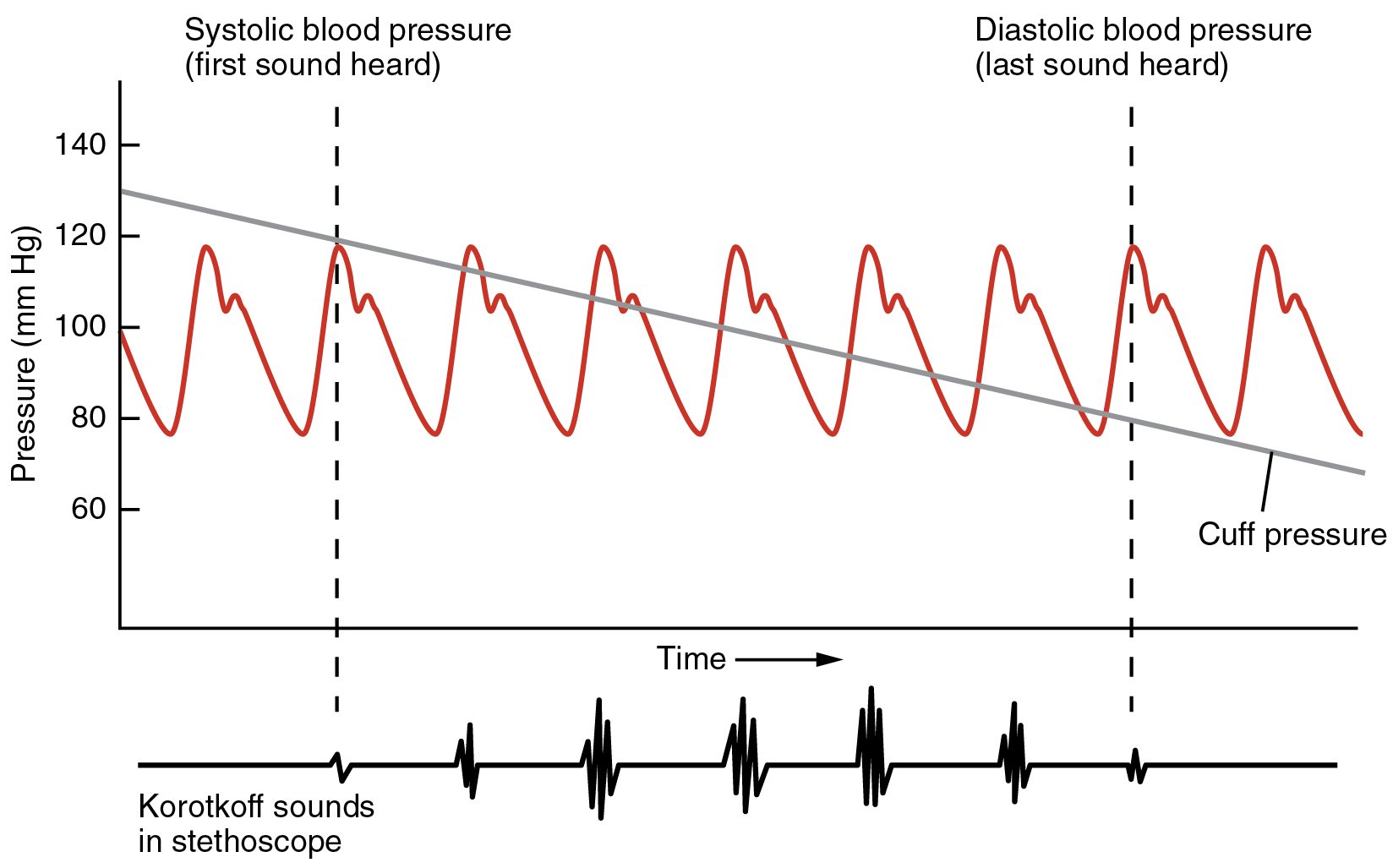 Blood Pressure And Heart Beat Chart