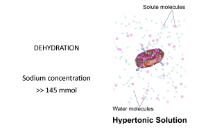 HYPERTONIC-2