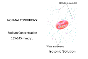 ISOTONIC-3